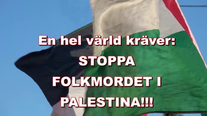 Odenplan 22 mars 2025: En hel värld kräver STOPPA FOLKMORDET I PALESTINA!!!