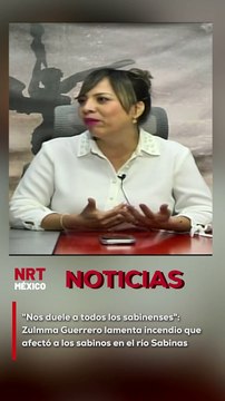 La diputada Zulmma Guerrero expresó su profunda tristeza y dolor por el incendio que destruyó 15 sabinos en el río Sabinas, un acto que impactó profundamente a los habitantes de Sabinas.