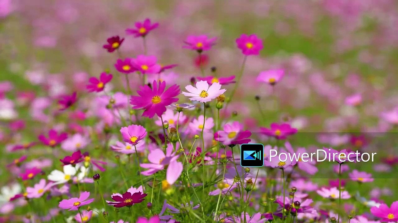 printemps