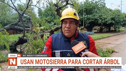 Usan motosierras para cortar árbol caído por la lluvia; reportan que 7 cayeron