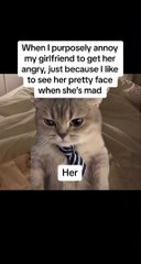 wait for end#jungle #monster #horror #sadako #cree