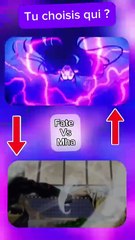 Fate vs Mha