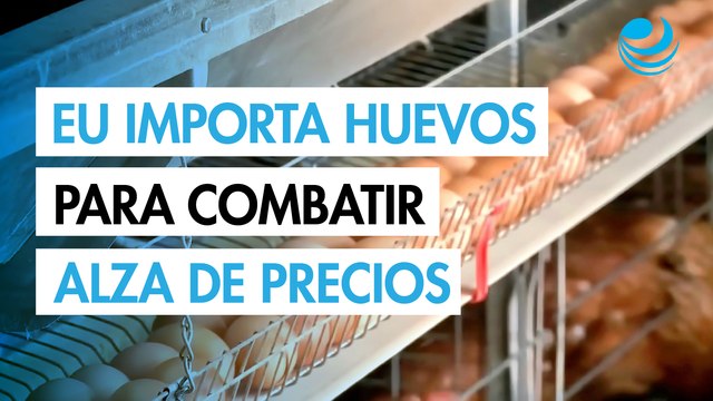 Estados Unidos importa huevos de Corea del Sur y Turquía para frenar alza de precios por gripe aviar