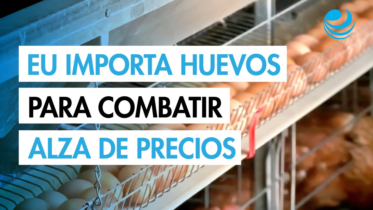 Estados Unidos importa huevos de Corea del Sur y Turquía para frenar alza de precios por gripe aviar