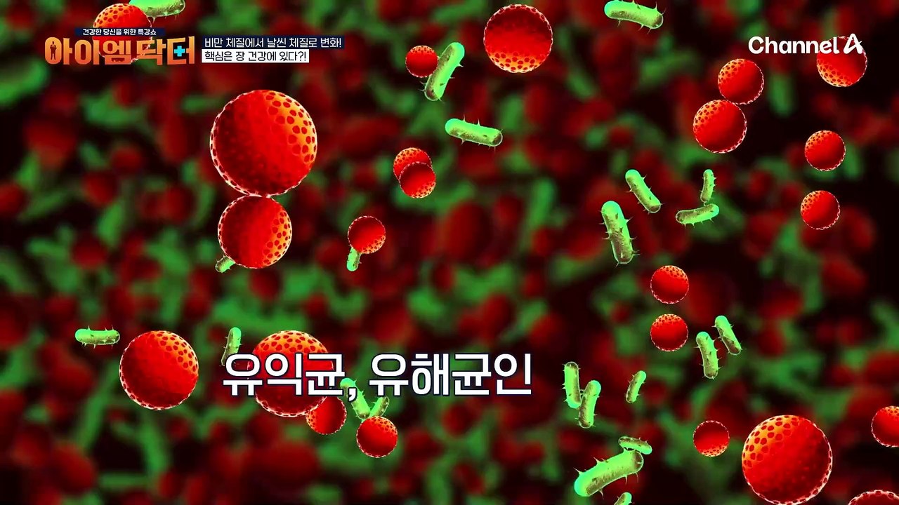 ※채소 칩이 비만을 부를 수도 있다고?!※ 비만 체질과 날씬 체질을 결정짓는다는 '이것' 건강!