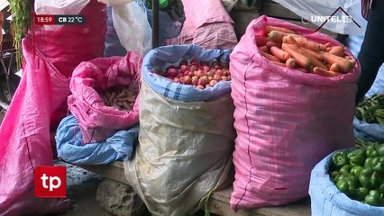 “La falta de combustible destroza nuestro sistema de comercialización”, señala el sector porcicultor