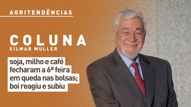 Soja, milho e café fecharam a 6ª feira em queda nas bolsas; boi reagiu e subiu