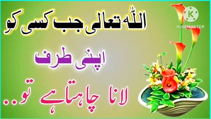 Allah Jab Kisi Ko🔥! Best Urdu Quotes💯! Urdu Islamic Quotes💥! Islamic YouTube🔥! ISLAMIC URDU MEWAT🌴