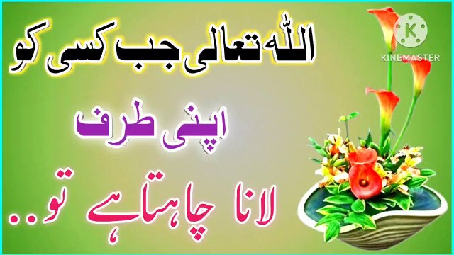 Allah Jab Kisi Ko🔥! Best Urdu Quotes💯! Urdu Islamic Quotes💥! Islamic YouTube🔥! ISLAMIC URDU MEWAT🌴