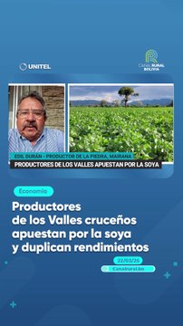 Productores de los Valles cruceños apuestan por la soya y duplican rendimientos