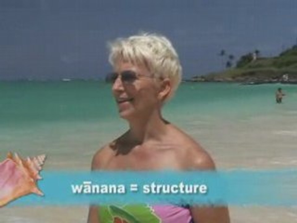 Beach Walk 629 - Structure or Flow?