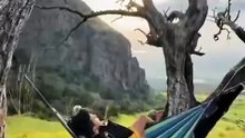 Beautiful moment