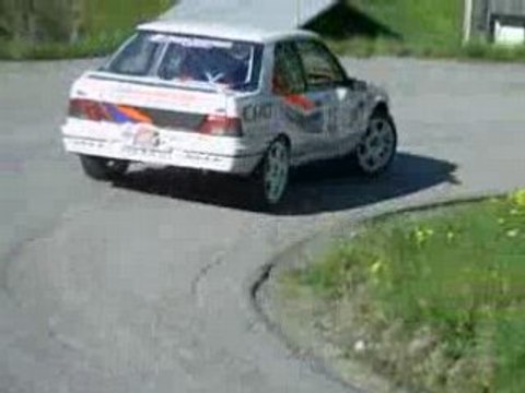 rallye du beaufortain 2008 michaud 309 evo