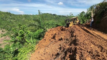 D6R XL Bulldozer Accurately Forms Terraces in Oil Palm Plantations