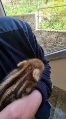 How she checks to make sure she is doing it right