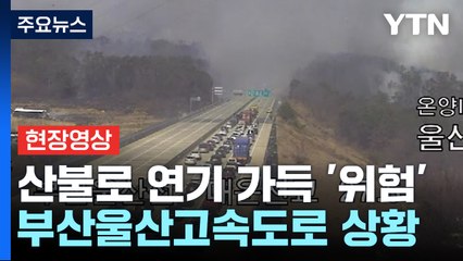 [현장영상+] 연기에 둘러싸인 차량들...부산울산고속도로 산불로 위험한 상황 / YTN