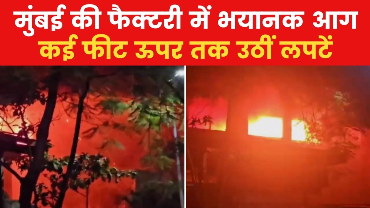 Mumbai Fire News: मुंबई में शिरवणे की फैक्टरी म...