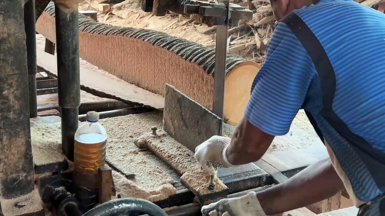 Coconut Trees Turned into Wood 2x20 Best Sawmill Process!