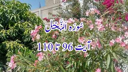 Surah An Nahl | Tilawat Surah nahl | Surah Yasin | Surah Rehman | quran recitation |