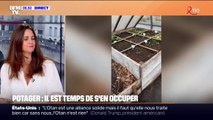 Emplacement, jardinières, compost...Toutes les clés pour raviver votre potager avec l'arrivée du printemps