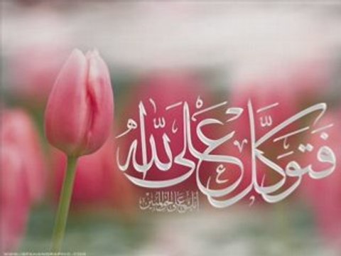 Explication des règles du Mariage 4/7