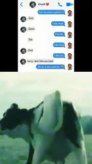 Funny Memes on Dailymotion Trending Now! 😂