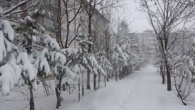 Bitlis'te 100 köy yolu kardan kapandı