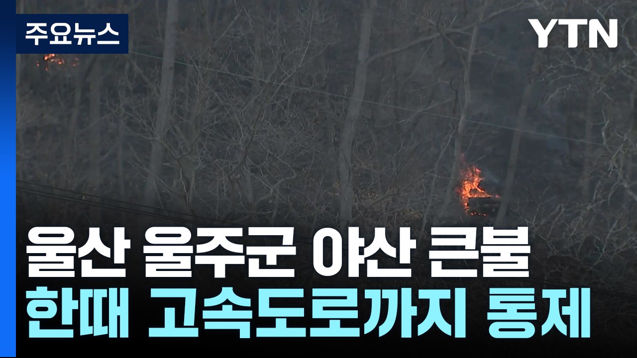 울산 울주군 야산 큰불...한때 고속도로까지 통제 / YTN