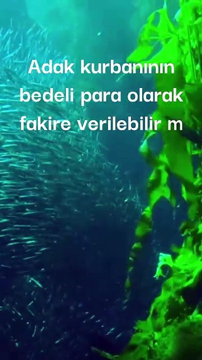 Adak kurbanının bedeli para olarak fakire verilebilir mi