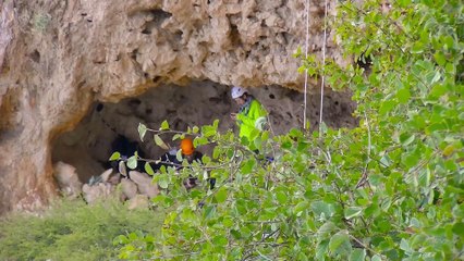 Steve Backshall avventure intorno al mondo (Oman)