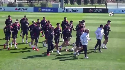 Milliler Macaristan'a hazır