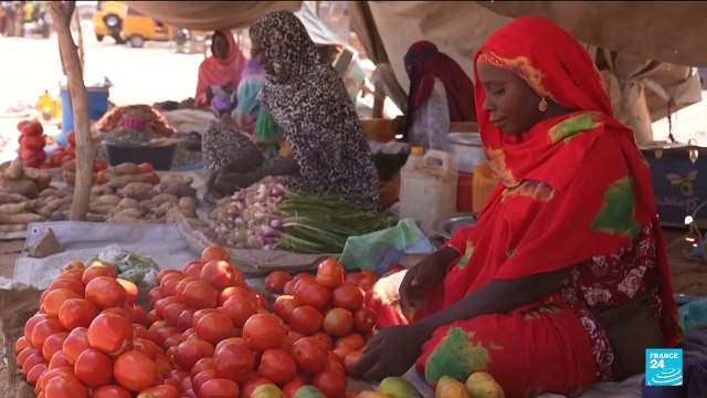 Chad under growing pressure as Sudanese refugees overwhelm aid capacity