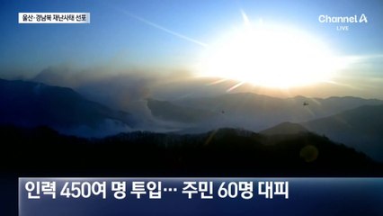 산불 29건 발생…울산·경북·경남 재난사태 선포
