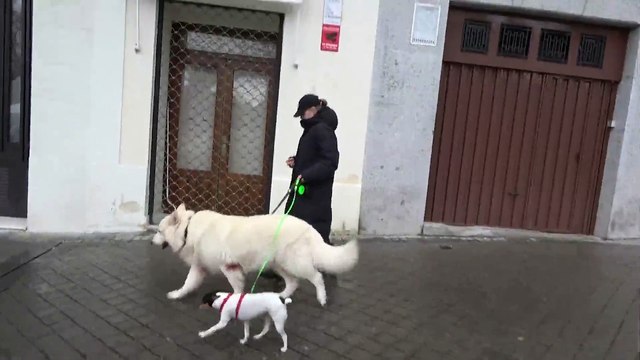 La insólita reacción de Genoveva Casanova al ser preguntada por la boda de su ex, Cayetano Martínez de Irujo, y Bárbara Mirjan