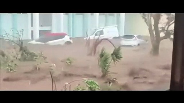 Garance : un concert de solidarité au Petit Stade de l'Est fin mars