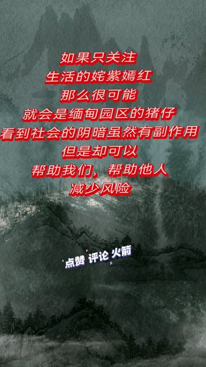 如果只关注生活的姹紫嫣红， 那么很可能就是缅甸园区的猪仔。 看到社会的阴暗面虽然有副作用， 但是却可以， 帮助我们，帮助他人，减少风险。 If you only focus on the colorful life, then you are likely to be a piglet in the Myanmar Industrial Park. Although seeing the dark side of society has side effects, it can help us, help