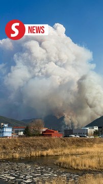 Two firefighters dead, two missing as wildfires rage across South Korea
