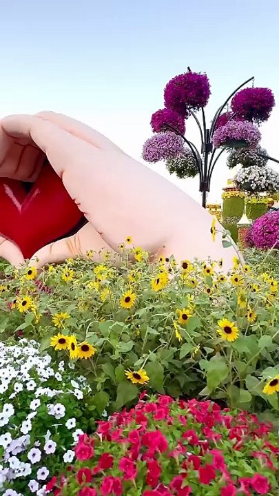 Beautiful ❤️💐(720P_HD)