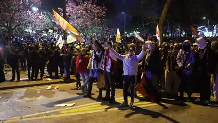 Over 340 arrested in overnight clashes with police after Istanbul mayor's arrest