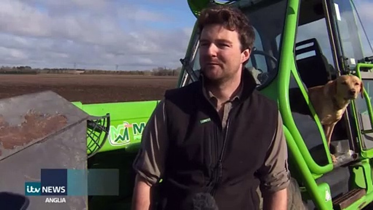 Thorney Farmer calls for urgent action on fly-tipping!