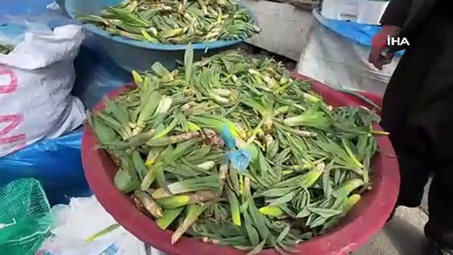 Bir zamanlar teröristlerin kol gezdiği tepelerdeki doğal antibiyotik tezgahlara indi
