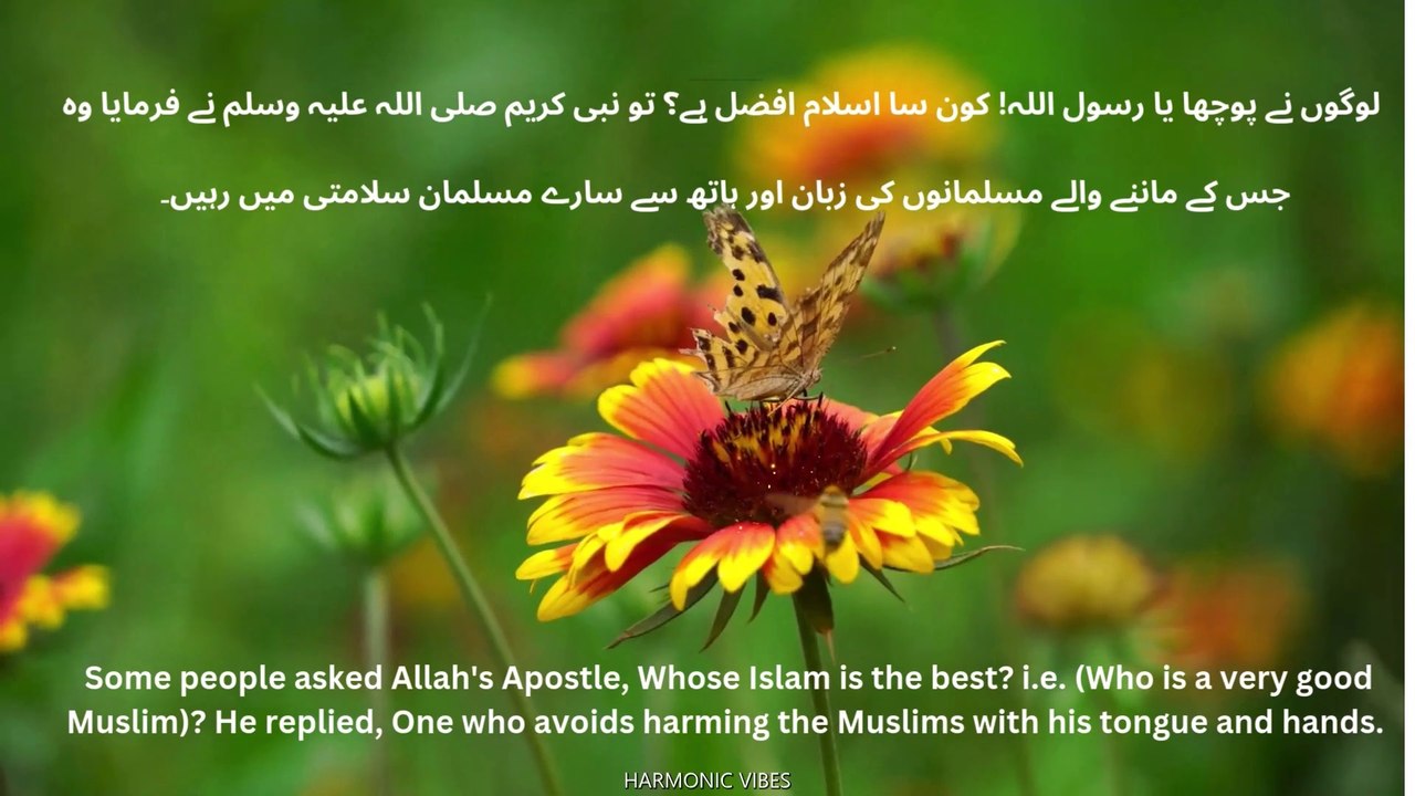 The Beacon of Mercy, Wisdom, and Guidance for Humanity
