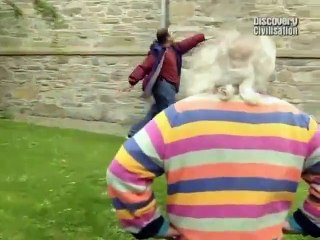 Time Team - Downpatrick, County Down - St Patrick's First Church