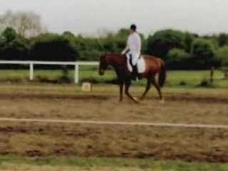 Dressage La Guerche 04 Mai 08