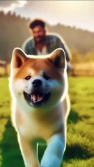 Historias con enseñanza 4