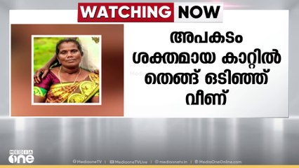 ആലപ്പുഴയിൽ കാറ്റിൽ തെങ്ങ് ഒടിഞ്ഞ് വീണ് 53-കാരിക്ക് ദാരുണാന്ത്യം