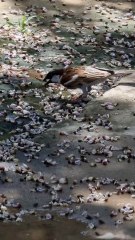 Kisi KO takleef dyna