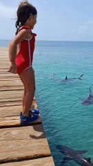 TIBURONES SE TRAGAN A UNA NIÑA