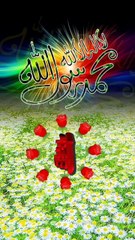 Masha Allah beauty full tilawat