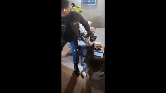 GDF COMO: SMANTELLATA BANDA DI PUSHER (22.03.25)